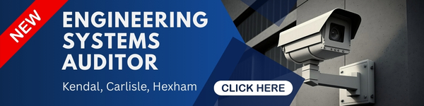 Engineering Systems Auditor