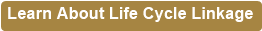 Learn About Life Cycle Linkage
